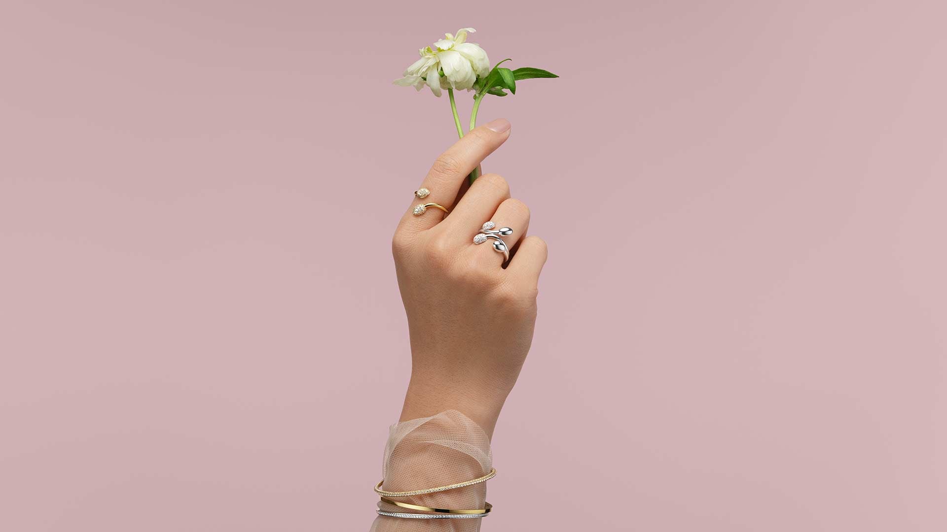 Efva Attling sormukset