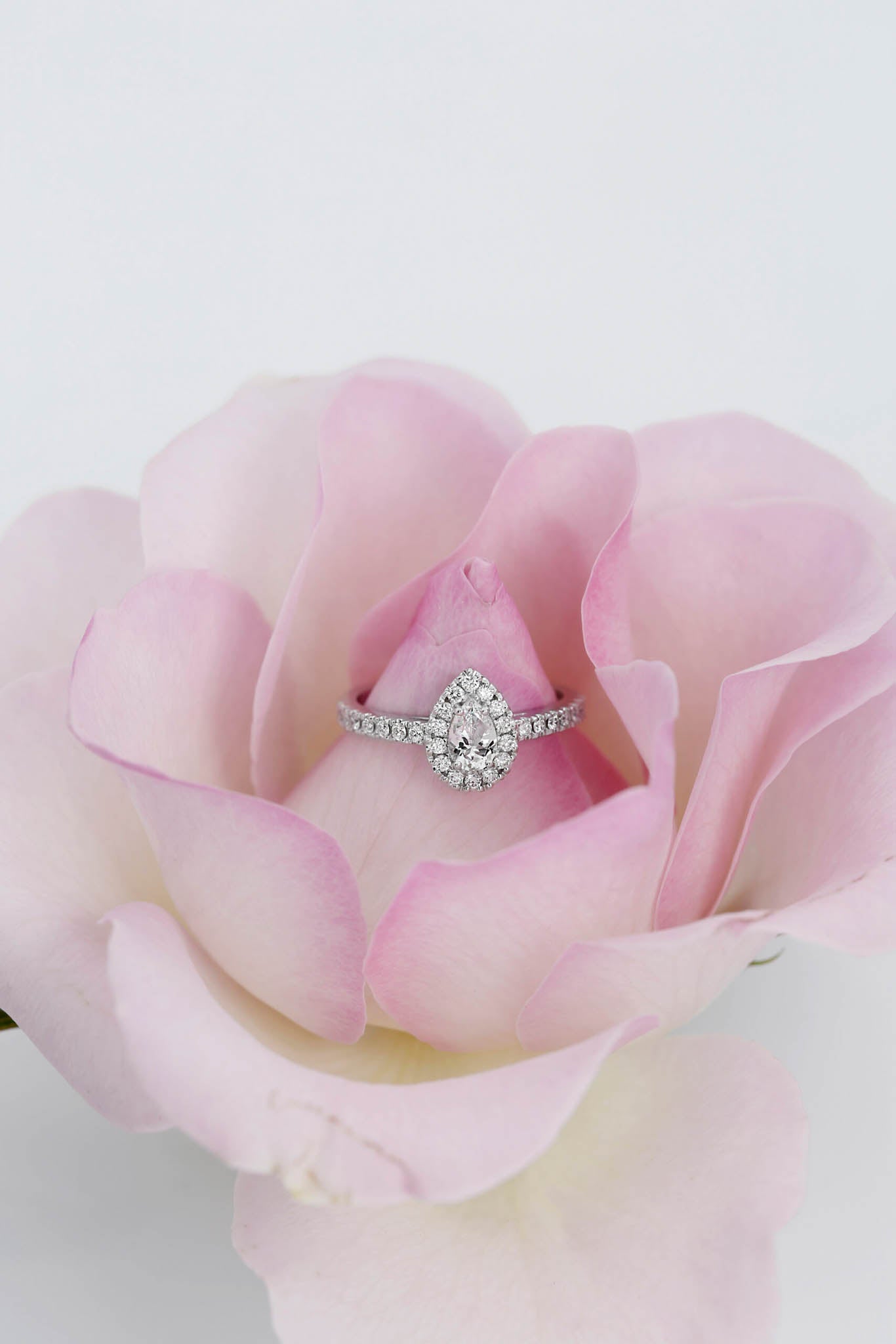 Garda valkokultainen timanttisormus 0,28ct 15,5