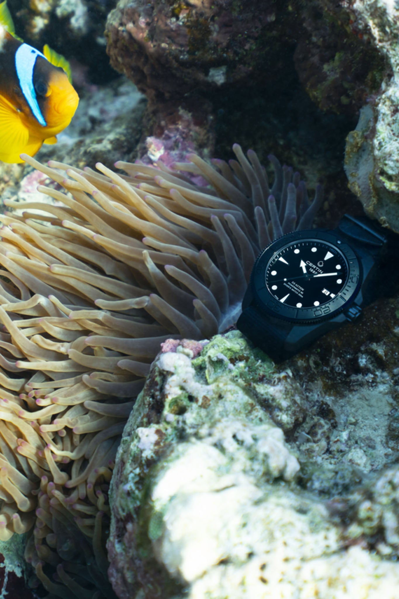 Certina DS Action Diver Black rannekello