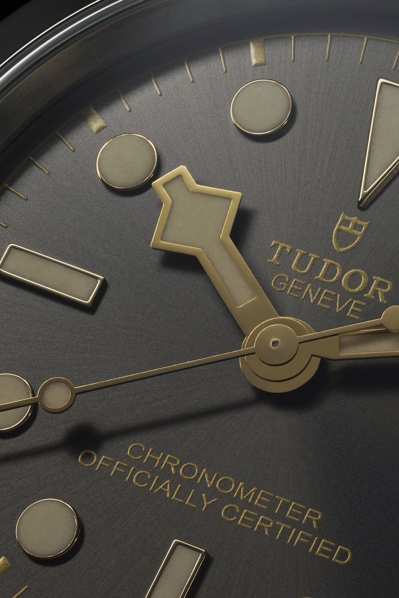 Tudor Black Bay 41 miesten rannekello