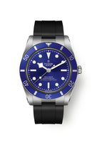 Tudor Black Bay 54 M79000B-0002